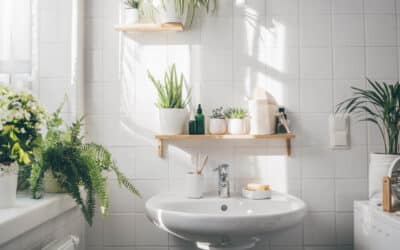 5 Must Have Feng Shui Plants To Spruce Up Your Bathroom