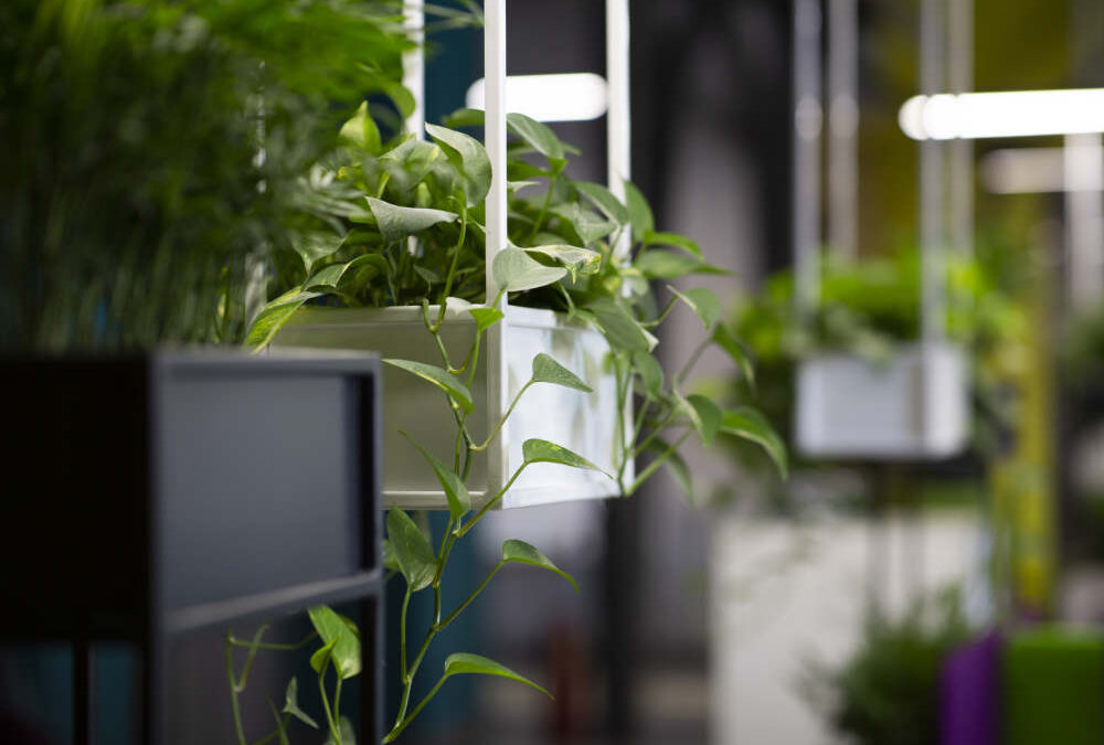 Is Fake Plants Really Bad Feng Shui? (It Can Be Good Too)