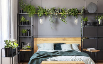 Does Feng Shui Say No or Yes To Placing Plants In Bedroom?