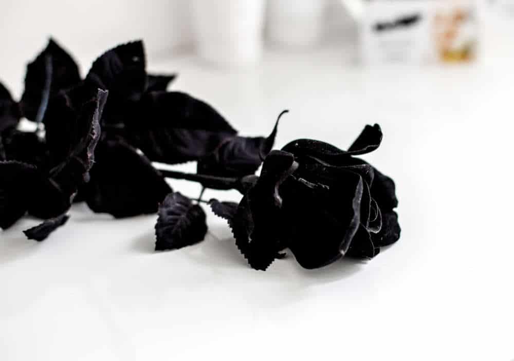 symbols of death black rose