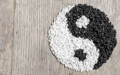 Yin Yang Symbol Meaning in Everything (What You Need to Know)