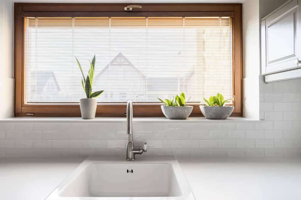 windows above kitchen sink plants